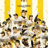 🦅ソフトバンクホークス好き🦅