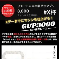 X杯 GUP3000レース