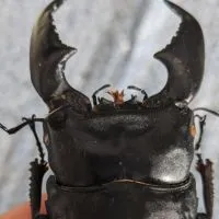 学生の生物好き集まれ〜