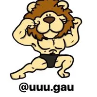 チームしらぽん🦁🤍