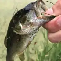 宮城 バス釣り bass fishing