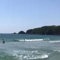 伊豆サーフィン 🌊波情報