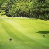 西東京（多摩地区）女子限定ゴルフ🏌️‍♀️