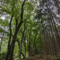 東洋大学川越体育会ゴルフ部