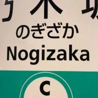 乃木坂46 徳島勢