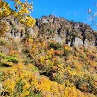 【女性限定】東海(静岡、愛知、岐阜、三重)45歳以上～のんびり登山部⛰️✨