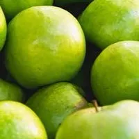 ミセスイラスト交換しよー！🍏