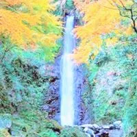 🌳岐阜県🌳イベント会