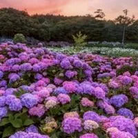 とにかく楽しもう！伝わればいいよ👌英語初心者限定