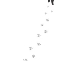 138ねこねこ族