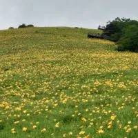 独身さんの和み茶屋🍵🍡