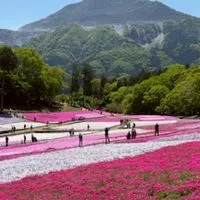 埼玉県のドライブ好きな人、美味しい物好きな人集まってください。