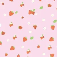 いちご部屋🍓