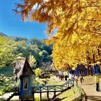 埼玉県のドライブ好きな人、美味しい物好きな人集まってください。