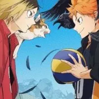 ハイキューnrkr🏐(恋愛○)