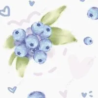 blueberry party@なんでも雑談部屋！