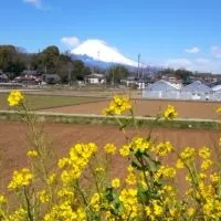 お料理、糖質塩分制限、簡単レシピ紹介しよ！　富士山歌声カフェ🍀　　　雑談あり、誰でもOK🎵