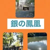 銀の鳳凰で語ろう～