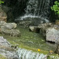 暇つぶしの平和島🏝️