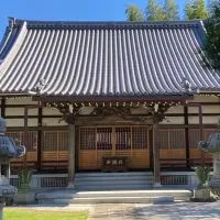 テラヨガ🧘‍♀️妙蓮寺みんなへのお知らせ📢