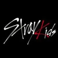 straykids 写真館トーク禁止🙅