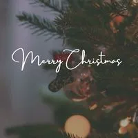 福岡♡飲み友つくろう