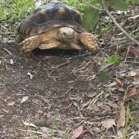 生き物好き集まれ〜❗️