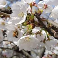 山梨✨おとなの🍀のんびり まったり部屋