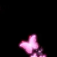 ︎ ︎ ︎芸能人 也 ︎ ︎ ︎ ︎.︎ ︎ ︎