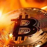 リファチャ💰仮想通貨リファ相互協力💰