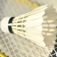 バド部🏸集まれ〜（中1の女男中学生）