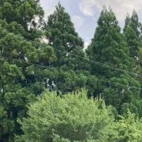 有井やよいコミュニティグループ
