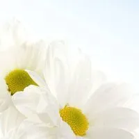 Nouespoir