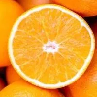 🍊関東 既婚者 穏やかな部屋