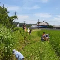 私たちの田んぼクラファン🌊🌾🍙⛰️☀🦂🧑‍🤝‍🧑🏡💕HOME千葉