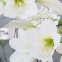専業主婦も楽しも〜🙌🏼