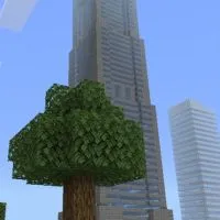 マイクラレルムズサバイバルで街作り！（建国）