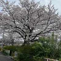 青松園自治会防災LINE