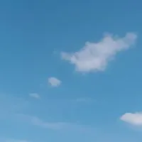 ｡ﾟ｡ﾟ｡ﾟスタキャスで勉強会.ᐟ‪.ᐟ‪｡ﾟ｡ﾟ｡ﾟ