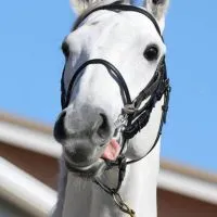 中央競馬&地方競馬ファンの集い🏇