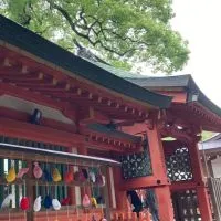 龍神会⭐︎開運神社ツアー