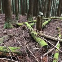 YAMARI関東山友50代以上