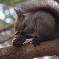 北海道のトモダチ作ろう！！