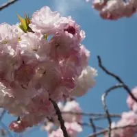中学受験@関西