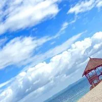 セブ島移住・留学の情報交換会