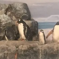 愛知の独身中高年、食いしん坊部屋