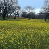 脊柱管狭窄症など腰痛の情報交換部屋