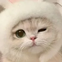 🐿リスの配布・お助けオプ