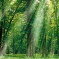 悩み相談　癒し部屋🍀こもれび🍀