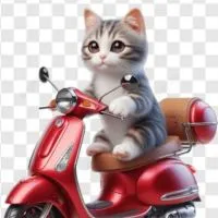 青森巡るバイク好きルーム🏍️